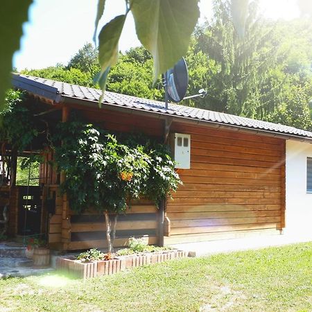Studio Apartman Firdaus-Bihac, Dobrenica Bb Eksteriør bilde