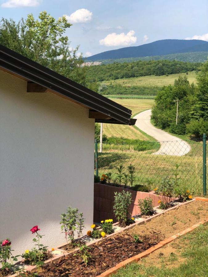 Studio Apartman Firdaus-Bihac, Dobrenica Bb Eksteriør bilde
