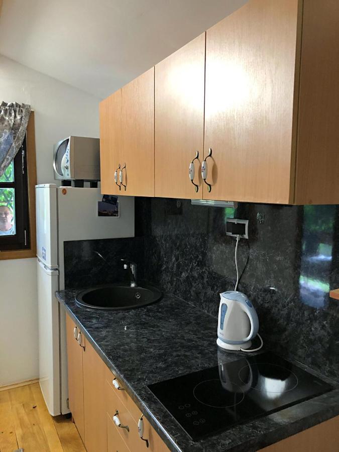 Studio Apartman Firdaus-Bihac, Dobrenica Bb Eksteriør bilde
